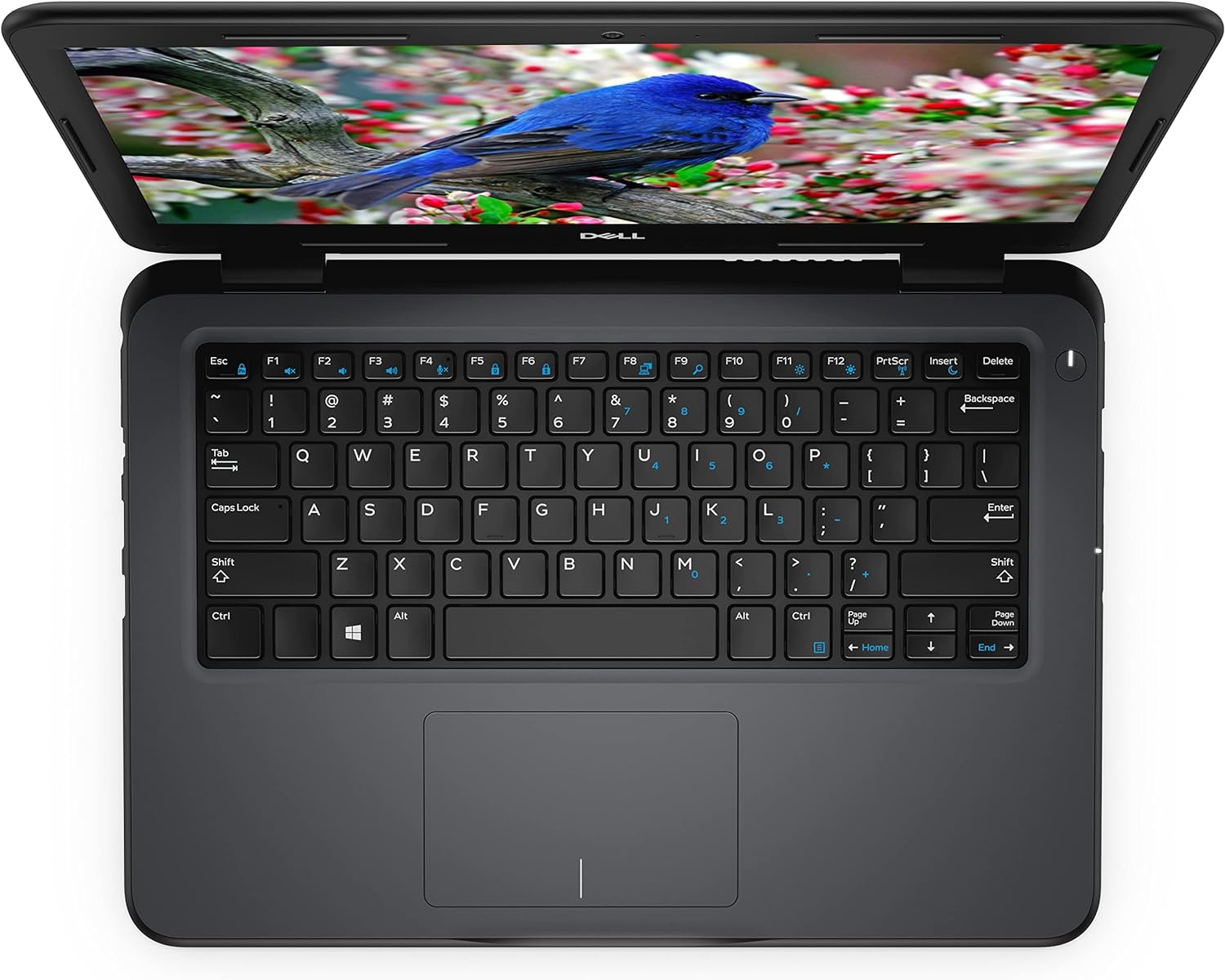 Dell Latitude 3300 Laptop Intel Core i3 7th Gen i3